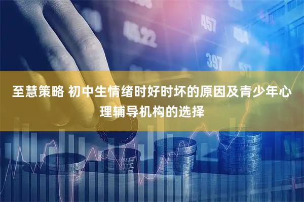 至慧策略 初中生情绪时好时坏的原因及青少年心理辅导机构的选择