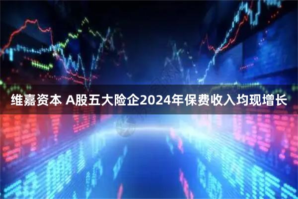 维嘉资本 A股五大险企2024年保费收入均现增长