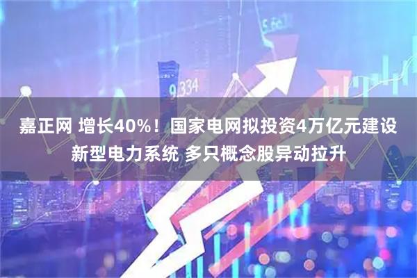 嘉正网 增长40%！国家电网拟投资4万亿元建设新型电力系统 多只概念股异动拉升
