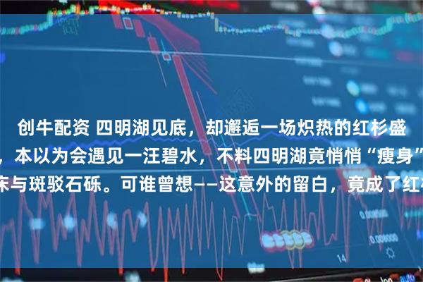 创牛配资 四明湖见底，却邂逅一场炽热的红杉盛宴！秋日的风掠过山野，本以为会遇见一汪碧水，不料四明湖竟悄悄“瘦身”，裸露出蜿蜒的河床与斑驳石砾。可谁曾想——这意外的留白，竟成了红杉林的绝美画框！ 镜头下的三重浪漫：1️⃣ 广角震撼｜干涸的河床如大地掌纹，两侧红杉列队燃烧，橙红叶片在